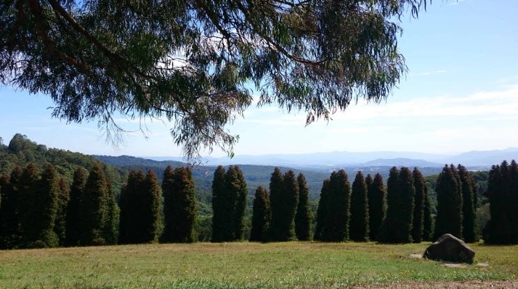 RJ Hamer Arboretum, Australia